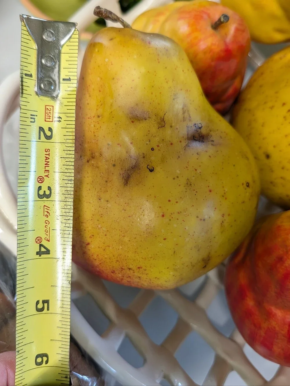 6 very realistic FAUX PEARS decorative fruit